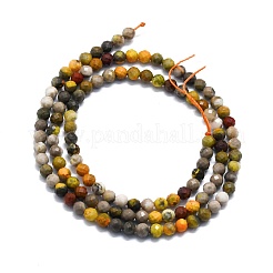 Fili di perle di diaspro naturale calabrone&nbsp;G-P457-A01-30