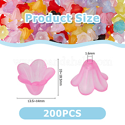 200шт матовые непрозрачные акриловые колпачки для бусин&nbsp;OACR-HS0001-01