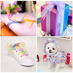 Полиэстер органза ленты&nbsp;ORIB-BT0001-02