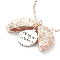 Открывающиеся ожерелья с подвесками из сплава&nbsp;NJEW-M186-02RGP