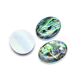 Shell paua cabochons ovales, colorées, 24.5~25x19~19.5x3.5~4mm