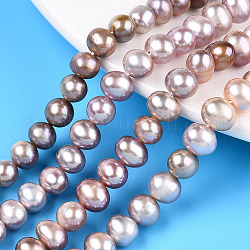 Fili di perle di perle d'acqua dolce coltivate naturali, patata, prugna, 6.5~7.5mm, Foro: 0.6 mm, circa 55~56pcs/filo, 14.57~14.76 pollice (37~37.5 cm)