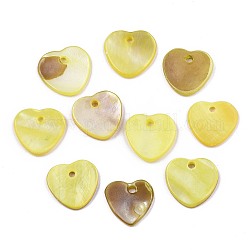 Подвески из натуральных пресноводных ракушек, окрашенные, сердце, желтое шампанское, 12.5x13x2 мм, отверстие : 1.5 мм