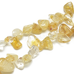 Chapelets de perles de citrine naturelle, puce, 8~23x8~14x4~7mm, Trou: 1mm, Environ 55~70 pcs/chapelet, 16.4 pouce