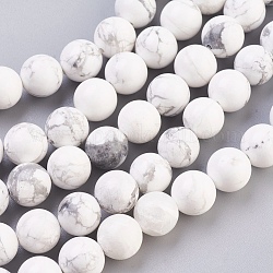 Chapelets de perles en howlite naturelle, ronde, blanc, 10mm, Trou: 1mm, Environ 19 pcs/chapelet, 7.6 pouce