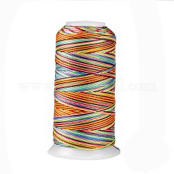 Сегментная окрашенная круглая полиэфирная швейная нить, для ручного и машинного шитья, вышивка кисточкой, красочный, 12-слойные, 0.8 мм, около 300 м / рулон