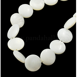 Shell perle naturali fili, rotondo e piatto, bianco, 8x3mm, Foro: 1 mm, su 50pcs / Strnad, 15.3 pollice