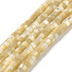 Brins de perles de coquillages naturels de troca, disque, perles heishi, blé, 4x2~2.5mm, Trou: 0.9mm, Environ 161 pcs/chapelet, 15.55'' (39.5 cm)
