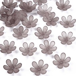 Abalorios de acrílico transparentes, esmerilado, flor, gris oscuro, 20.5x18.5x6.5mm, agujero: 2 mm, aproximamente 857 unidades / 500 g