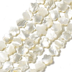 Natürlichen weißen Muschelperlen Stränge, Blume, Muschelfarbe, 10x10x2 mm, Bohrung: 0.5 mm, ca. 39 Stk. / Strang, 15.28 Zoll (38.8 cm)