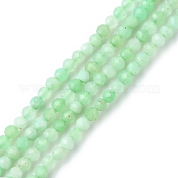 Natural Chrysoprase Beads Strands, Faceted, Round, 2~2.5mm, Hole: 0.7mm, about 169pcs/strand, 15.35 inch(39cm)
