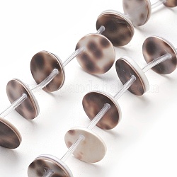Fili di perle di conchiglia di tigre naturale, rotondo e piatto, 13x2~3.5mm, Foro: 0.5~1 mm, circa 25pcs/filo, 13.3 pollice ~ 13.8 pollici (34~35 cm)