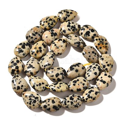 Природные яшмы далматин бисер нитей G-I377-A15-1