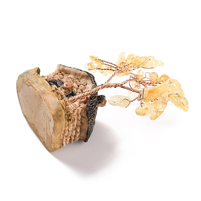 Смола и натуральный смешанный камень модель орнамент DJEW-Z001-01-1