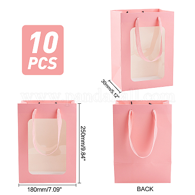 Shop PandaHall Clear Plastic Gift Bags with Handle for Jewelry Making -  PandaHall Selected