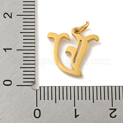 Ионное покрытие (ip) подвески из нержавеющей стали 304 STAS-I010-01G-V-1