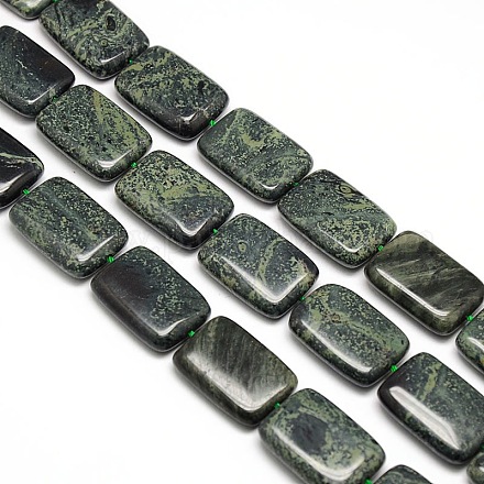 Natural Rectangle Moss Agate Beads Strands G-L250-08-1
