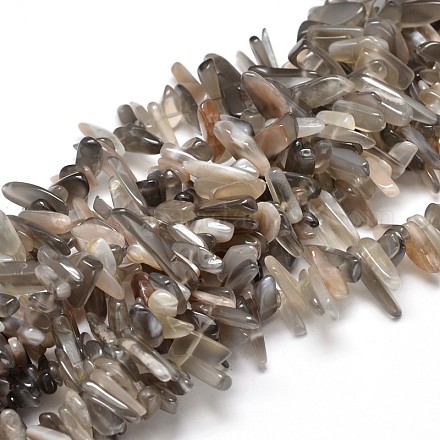 Natural Grey Agate Chip Beads Strands G-E271-06-1