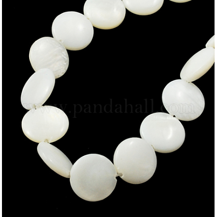 Chapelets de perles de coquillage naturel X-PBB-XXBK024Y-13-1