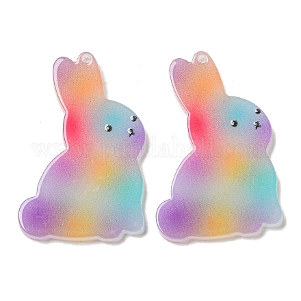 Pendentifs acryliques opaques&nbsp;BACR-D002-11A-01-1