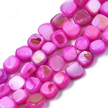 Chapelets de perles de coquille de trochid / trochus coquille SHEL-S258-083-B07-1