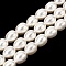 Electroplated Shell Pearl Beads Strands, Pear Shape, White, 12~13x10mm, Hole: 1mm, about 31pcs/strand, 15.55''(39.5cm)