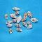 Natural Spiral Shell Beads, Wheat, 11~18x6~9x5~7.5mm, Hole: 1mm, about 1450pcs/500g