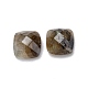 Cabujones de piedras preciosas mezcladas naturales X-G-D058-03B-3