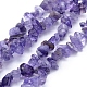 Natural Amethyst Beads Strands G-P332-06