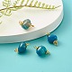Connecteurs de lien de perles teintes en agate naturelle PALLOY-JF00890-01-2