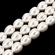 Fili di perle di conchiglie galvanizzate&nbsp;BSHE-B008-04-1
