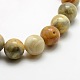 Round Natural Crazy Agate Beads Strands G-P058D-01-2