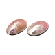 Cabuchones naturales shell SHEL-K008-07B-3