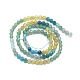Natural Apatite Beads Strands G-P457-A01-09A-3