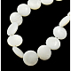 Chapelets de perles de coquillage naturel X-PBB-XXBK024Y-13-1