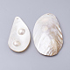 Freshwater Shell Big Pendants SHEL-Q019-002-3