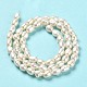Natural Cultured Freshwater Pearl Beads Strands PEAR-E016-063-3