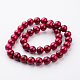Dyed Natural Fossil Beads Strands G-E328-10mm-17-2