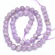Natural Amethyst Beads Strands G-P433-23A-2