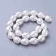 Electroplate Shell Pearl Beads Strands BSHE-O019-07-3