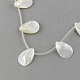 Chapelets de perles en coquillage naturel X-SSHEL-Q296-01-2