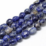 Chapelets de perles en sodalite naturelle, ovale, 8~15x7~12x4~12mm, Trou: 1mm, Environ 30~45 pcs/chapelet, 15.7 pouce