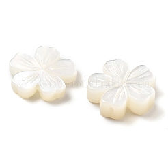 Резные бусины из натуральной белой ракушки SSHEL-Z002-02A