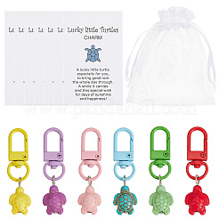 1 коробка подвеска в виде черепахи из смолы&nbsp;HJEW-CP0001-27