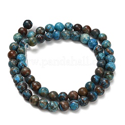 Perline Chrysocolla naturale fili&nbsp;G-C289-B02-6mm