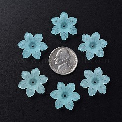 Прозрачные акриловые бусины&nbsp;MACR-S373-117-D07