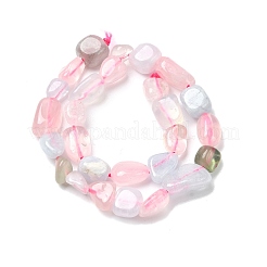 Природные морганит нитей бисера G-P601-A03-02