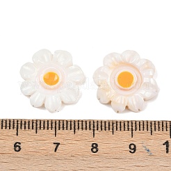 Натуральные пресноводные ракушки SHEL-B005-01