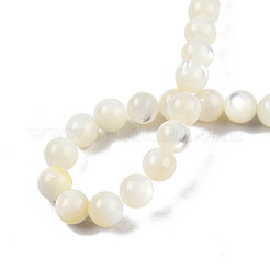 Fili di perline di conchiglia bianco naturale&nbsp;SSHEL-N003-144G-01