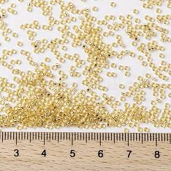 Perline rotonde miyuki rocailles&nbsp;SEED-G009-RR0003
